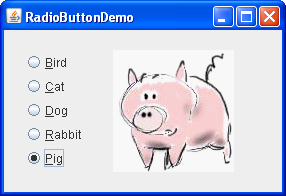 RadioButtonDemo 的快照