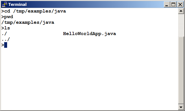 Results of the ls command, showing the .java source file.